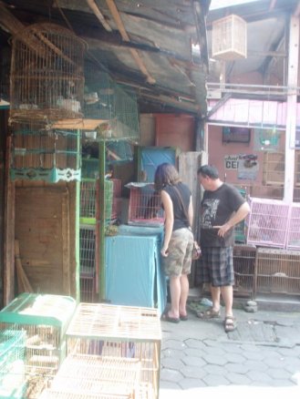 2009-bird-market-yogyakarta-indonesia-1936838_1172534840412_8360587_n