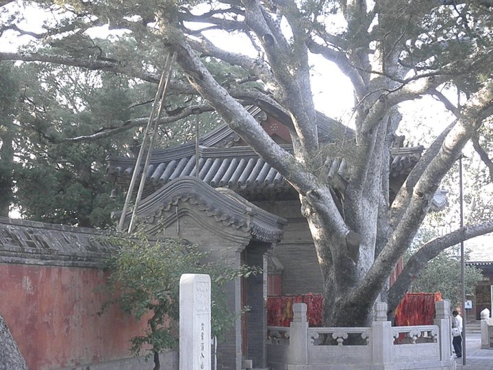 2010-beijing-group-jientai-temple-69415_1671665958378_910616_n